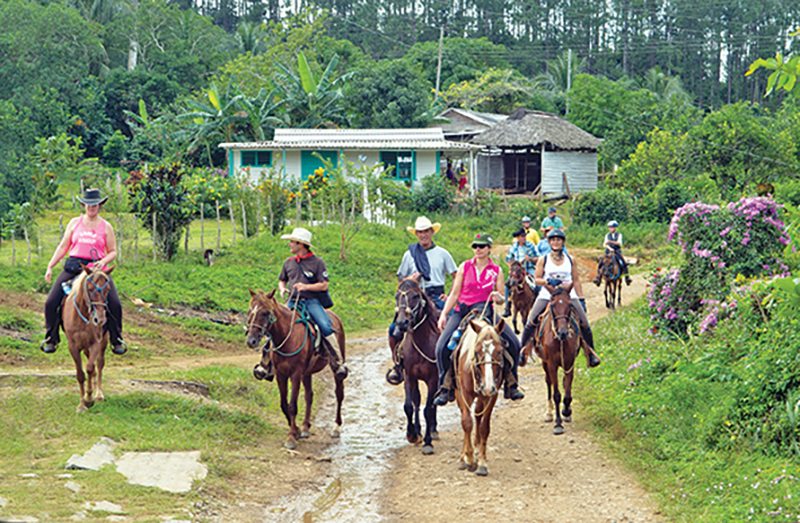 riding horses in cuba, cuba riding holiday, shawn hamilton cuba, unicorn trails horse riding, valle vinales horse riding
