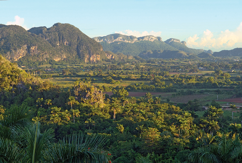 riding horses in cuba, cuba riding holiday, shawn hamilton cuba, unicorn trails horse riding, valle vinales horse riding