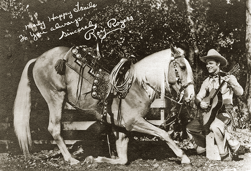 horses used in hollywood movies, the black stallion, seabisquit, national velvet, ben-hur, gladiator, john scott productions, legends of the fall, heartland, war horse, devil's horseman