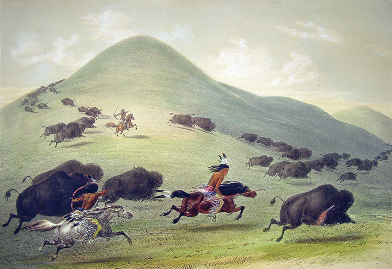 history of horses in canada, canadian horse history, Sir Donald Smith, Edward Mallandaine, canadian equine history history of horses in canada, canadian horse history, Sir Donald Smith, Edward Mallandaine, canadian equine history