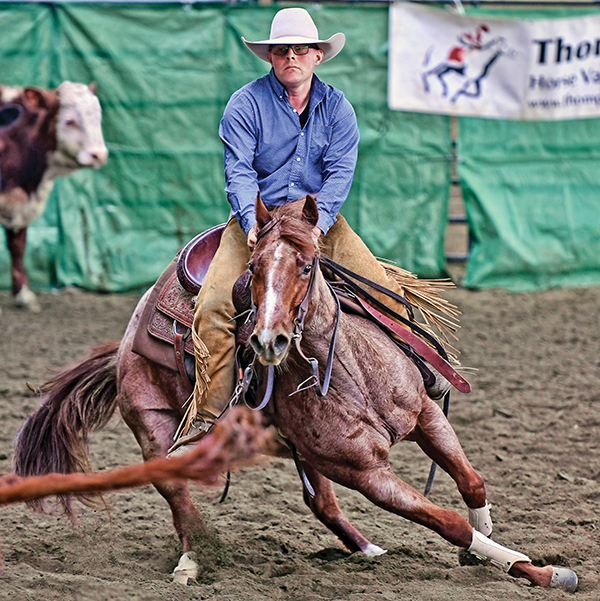 rules in cutting horse competitions, bc cutting horse association, heritage cutting classic chillwack bc, national cutting horse association, ontario cutting horse association, bill collins