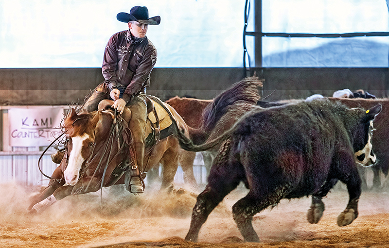 rules in cutting horse competitions, bc cutting horse association, heritage cutting classic chillwack bc, national cutting horse association, ontario cutting horse association, bill collins