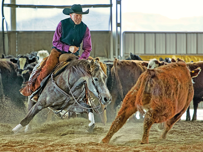 rules in cutting horse competitions, bc cutting horse association, heritage cutting classic chillwack bc, national cutting horse association, ontario cutting horse association, bill collins