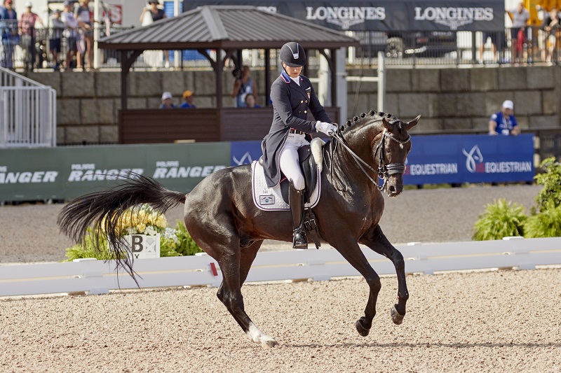 Tryon 2018 FEI World Equestrian Games, horses hurricane florence, canadian weg team Tryon 2018 FEI World Equestrian Games, horses hurricane florence, canadian weg team
