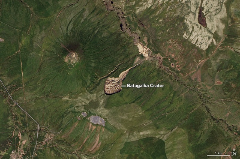 horse fossils, extinct horses, archealogical finds equine, history of horses