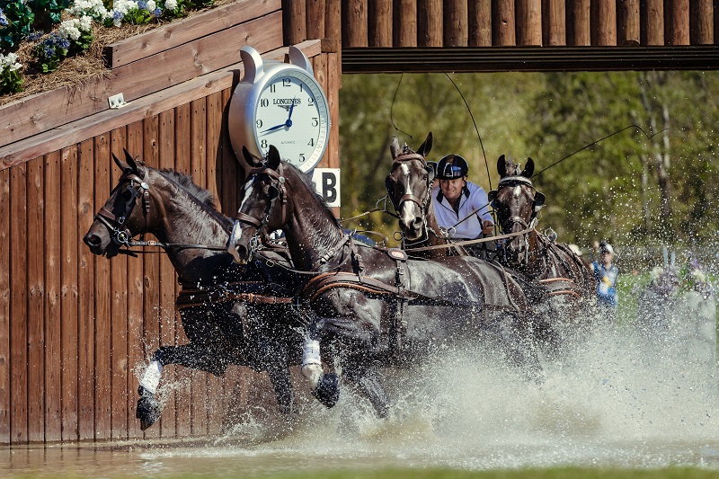 tryon world equestrian games 2018 Para-Dressage web Vaulting world equestrian games Jumping web Driving World Equestrian Games tryon equestrian centre, lauren barwick, sophie wells, Stinna Tange Kaastrup, kristina boe, lambert leclezio, simone blum, steve guerdat, boyd excel, chester weber tryon world equestrian games 2018 Para-Dressage web Vaulting world equestrian games Jumping web Driving World Equestrian Games tryon equestrian centre, lauren barwick, sophie wells, Stinna Tange Kaastrup, kristina boe, lambert leclezio, simone blum, steve guerdat, boyd excel, chester weber