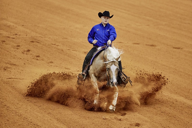 Tryon 2018 FEI World Equestrian Games, horses hurricane florence, canadian weg team Tryon 2018 FEI World Equestrian Games, horses hurricane florence, canadian weg team