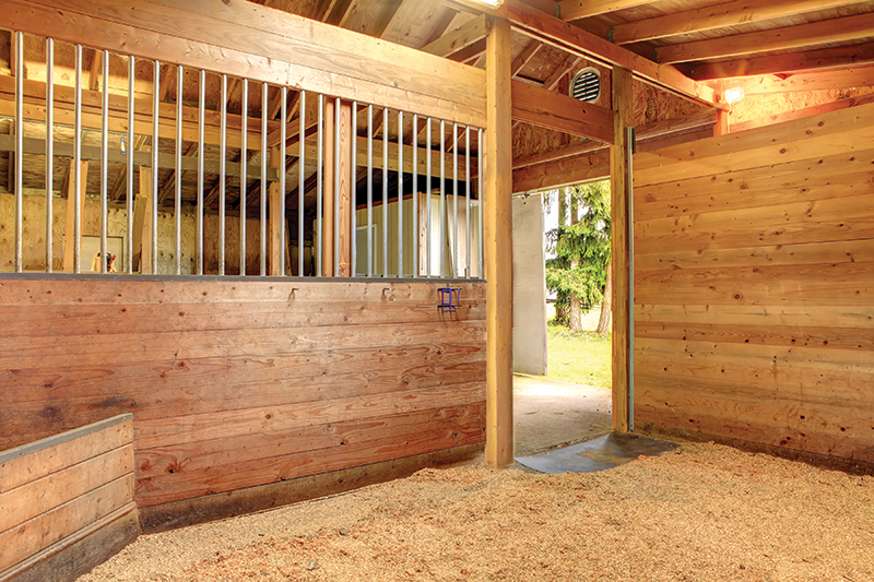 design Horse Stall layout, Eileen Wheeler, Ph.D., Professor of Agricultural Engineering, dimensions of horse stall, ventilating horse stall, equine respiratory, lights for horse stall, flooring for horse stall design Horse Stall layout, Eileen Wheeler, Ph.D., Professor of Agricultural Engineering, dimensions of horse stall, ventilating horse stall, equine respiratory, lights for horse stall, flooring for horse stall