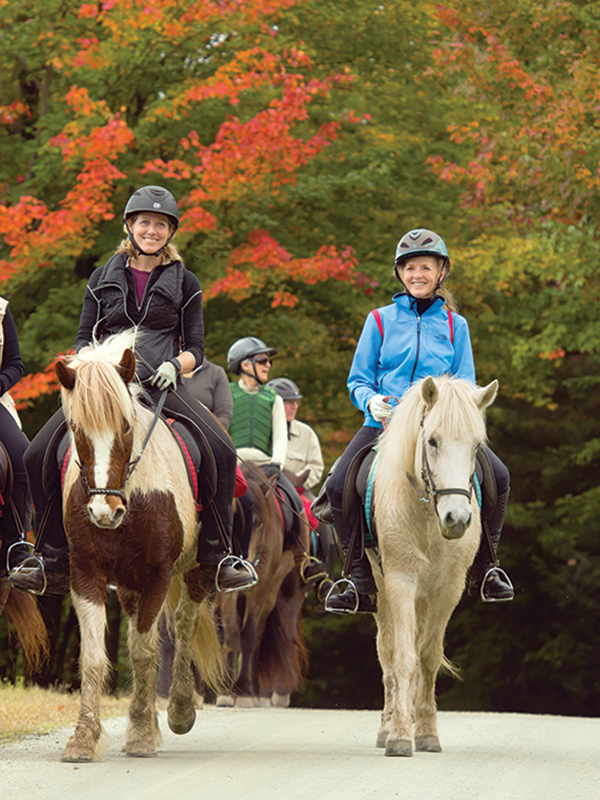horse riding holidays in vermont, best places horse holiday, horseback riding holidays usa, horse riding in the fall, shawn hamilton, vermont icelandic horse farm