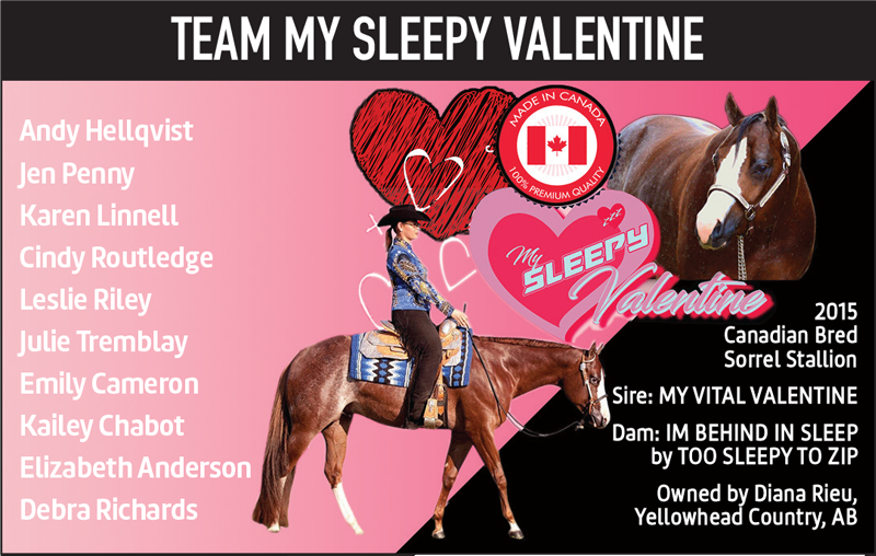 canadian national amateur team tournament, cqha quarter horse tournament, cnatt