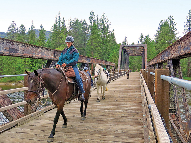 horse camping tips, some ways to improve horse camping, go camping with your horse