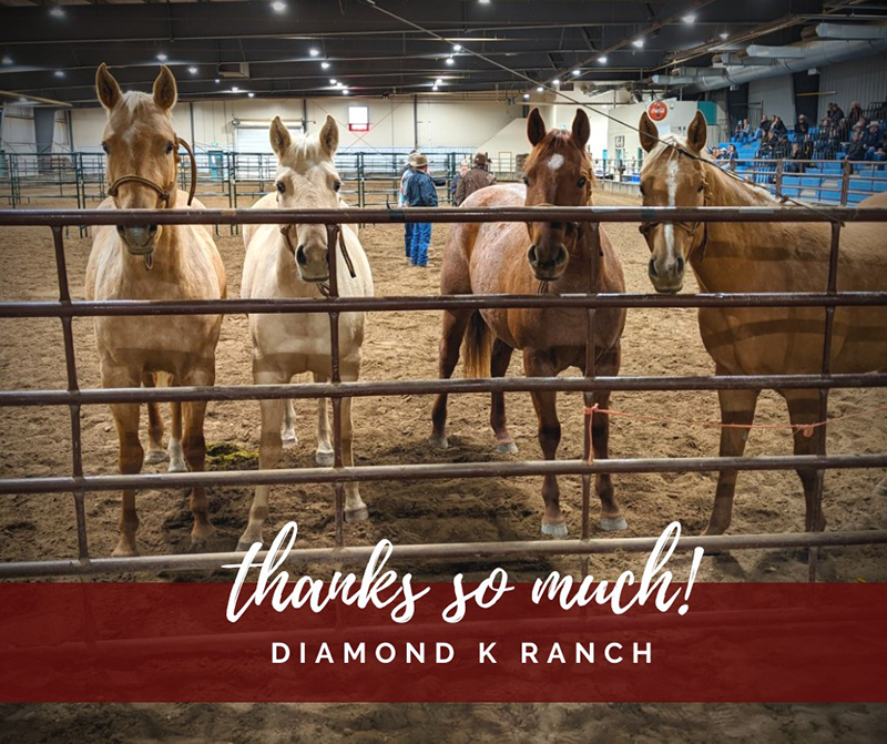 saskatchewan equine expo 2022, saskatchewan horse federation, diamond k ranch saskatchewan, prairieland park