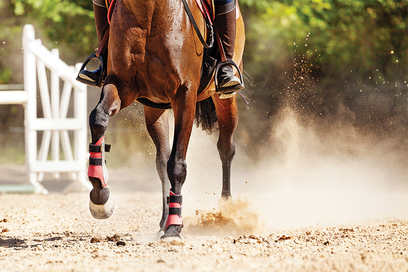 proper riding arena footing, ideal riding arena surfaces, White Paper Equestrian Surfaces, equestrian surfaces, riding arena irrigation systems, riding arena crystalline silica dust proper riding arena footing, ideal riding arena surfaces, White Paper Equestrian Surfaces, equestrian surfaces, riding arena irrigation systems, riding arena crystalline silica dust