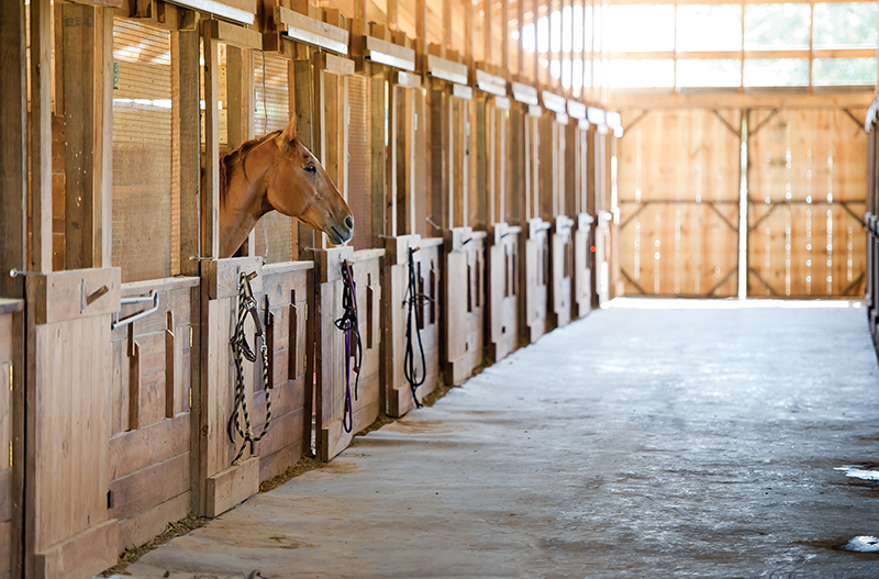 design Horse Stall layout, Eileen Wheeler, Ph.D., Professor of Agricultural Engineering, dimensions of horse stall, ventilating horse stall, equine respiratory, lights for horse stall, flooring for horse stall design Horse Stall layout, Eileen Wheeler, Ph.D., Professor of Agricultural Engineering, dimensions of horse stall, ventilating horse stall, equine respiratory, lights for horse stall, flooring for horse stall