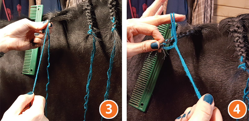 how to braid horse for hunter, how to braid horse for jumper, how to braid horse for dressage