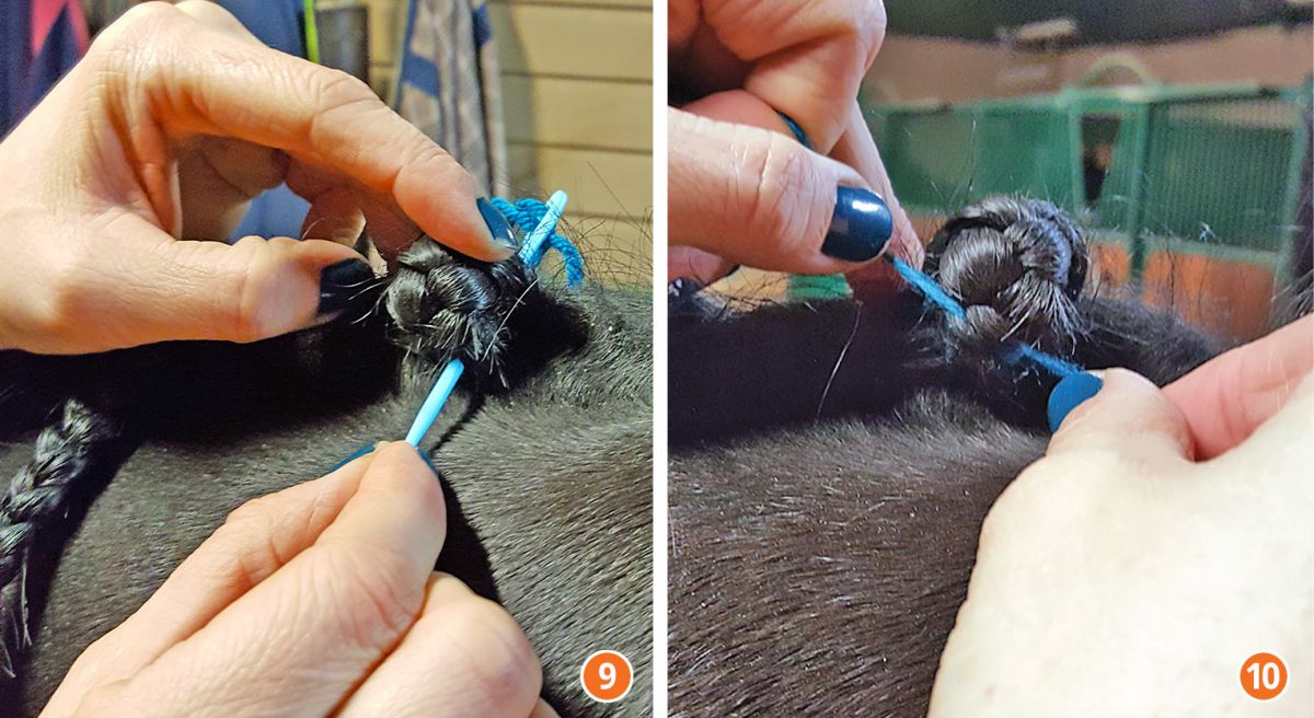 how to braid horse for hunter, how to braid horse for jumper, how to braid horse for dressage