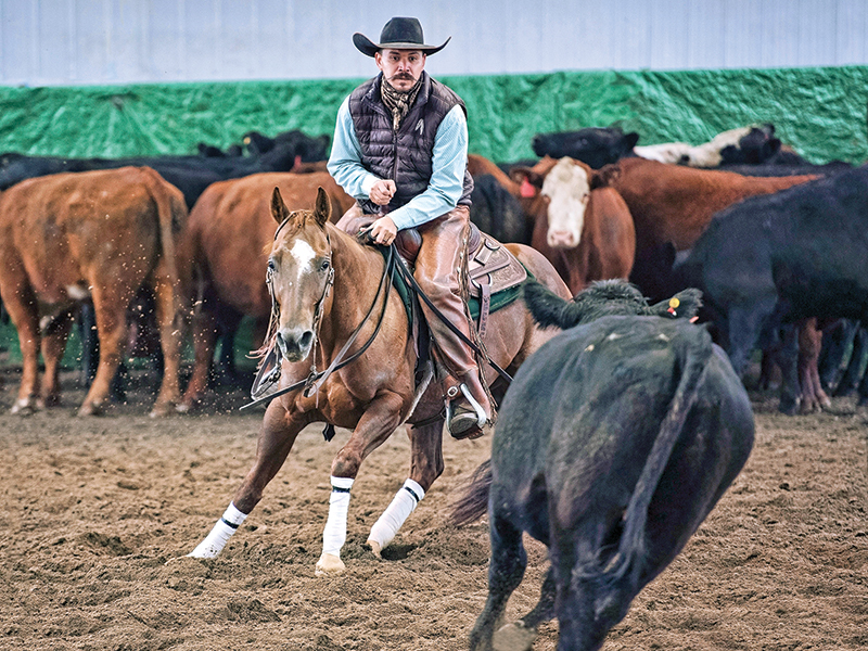 rules in cutting horse competitions, bc cutting horse association, heritage cutting classic chillwack bc, national cutting horse association, ontario cutting horse association, bill collins