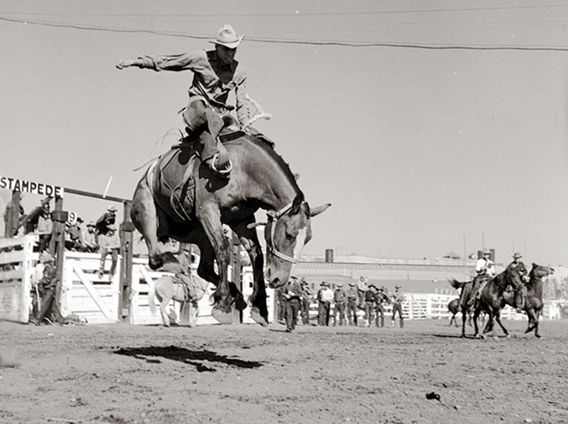 history of horses in canada, canadian horse history, Sir Donald Smith, Edward Mallandaine, canadian equine history history of horses in canada, canadian horse history, Sir Donald Smith, Edward Mallandaine, canadian equine history