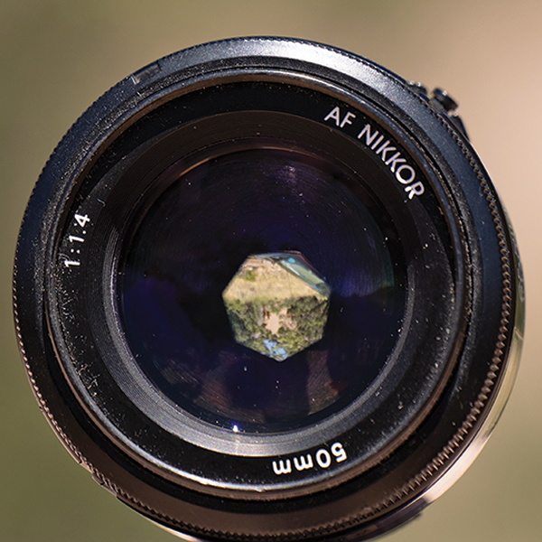 50mm lens at f/5, how to photograph horses, horse photography in motion, action photography horses, equine action photography, photography at horse events, photo of horse using phone, take best horse photos, how to take a conformation photo of horse, make horse look good in photo, shawn hamilton