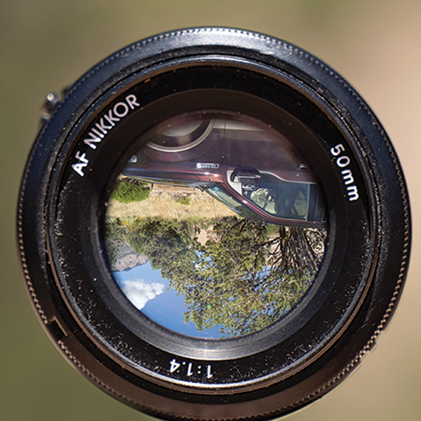 lens 50mm f/1.4, how to photograph horses, horse photography in motion, action photography horses, equine action photography, photography at horse events, photo of horse using phone, take best horse photos, how to take a conformation photo of horse, make horse look good in photo, shawn hamilton