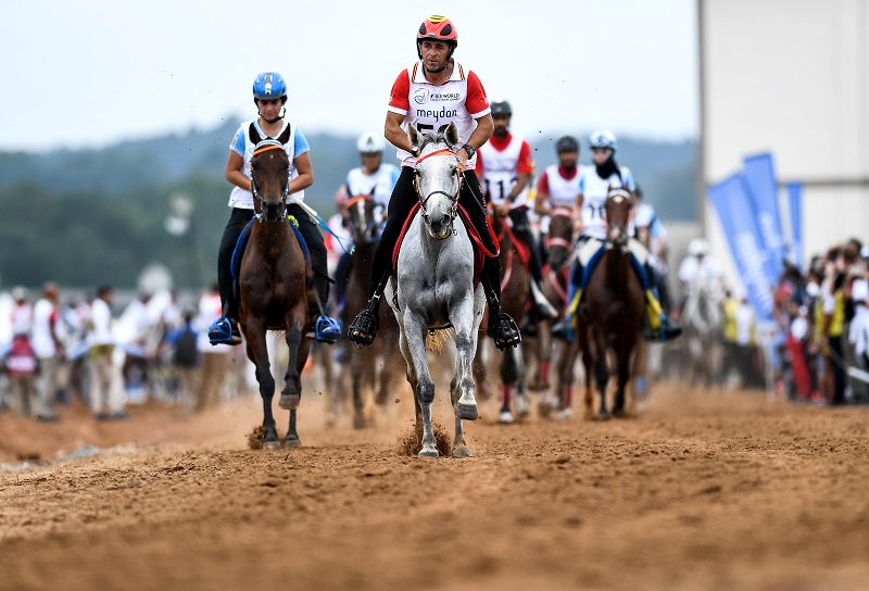 Tryon 2018 FEI World Equestrian Games, horses hurricane florence, canadian weg team Tryon 2018 FEI World Equestrian Games, horses hurricane florence, canadian weg team