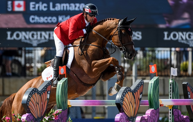 Jumping, Vaulting, and Para-Dressage at Tryon 2018 FEI World Equestrian Games (WEG) Box Qutie Anna Freskgård Tryon Equine Hospital show jumping world equestrian games vaulting weg para-dressage, grooms at world equestrian games Jumping, Vaulting, and Para-Dressage at Tryon 2018 FEI World Equestrian Games (WEG) Box Qutie Anna Freskgård Tryon Equine Hospital show jumping world equestrian games vaulting weg para-dressage, grooms at world equestrian games