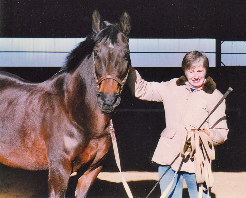 who are some of canada's horse industry builders? John Scott, Cara Whitham, Jack Pemberton, Alfred Fletcher, Guy Weadick, Dr. Sherman Olson, Dr. Gillian Lawrence, David Esworthy, Gayle Ecker, Bill Collins, Peter Cameron, Faith Berghuis, Ian Miller