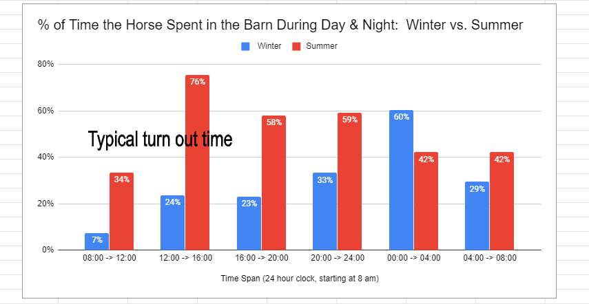 hay optimizer, feeding horses hay in winter, horse grazing summer, turnout for horses summer, horse winter turnout