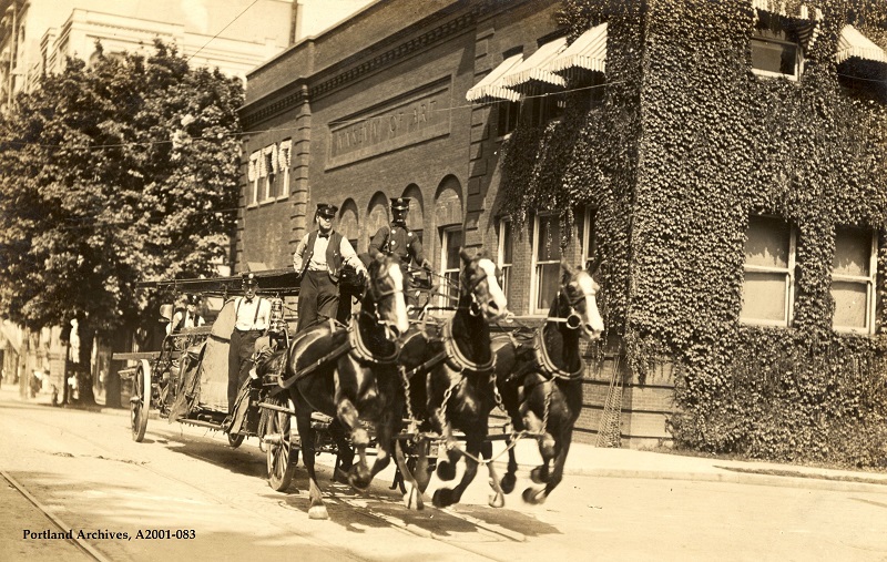 horses in canadian history, fire horses, horses used for fire trucks horse drawn fire engine