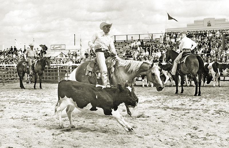 Jay Duke, A True Horseman jay duke Canadian Equestrian Team in show jumping, course designer Equestrian Canada