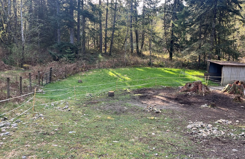 Grazing area improved with composted horse manure, old hay, and overseeding to increase forage production and reduce weeds