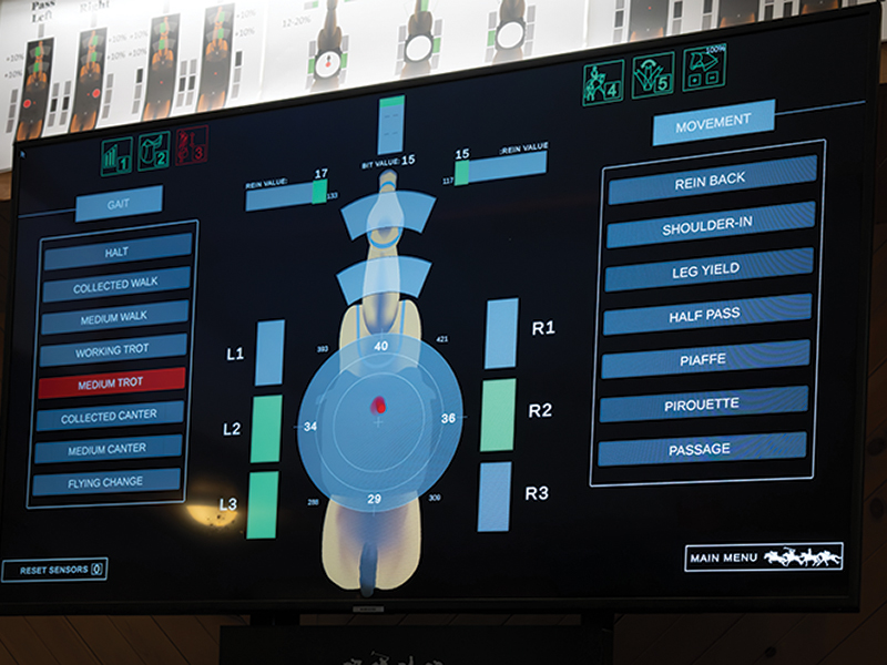 Rider training on RooElla horse simulator to maintain fitness, balance, and correct riding posture.