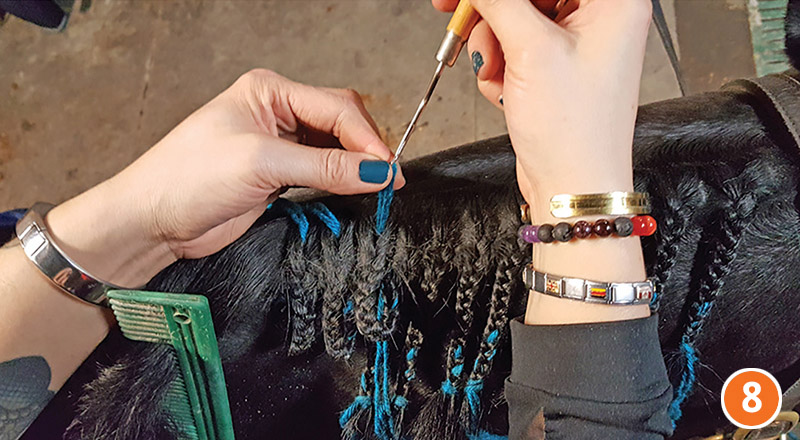 how to braid horse for hunter, how to braid horse for jumper, how to braid horse for dressage