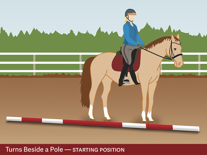 exercises for horses, jec ballou riding exercises, training horses with poles, pole exrcises horses