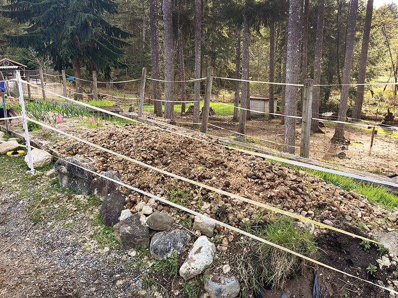 Terraced hillside amended with horse manure, hay, and shavings to build topsoil and improve water retention