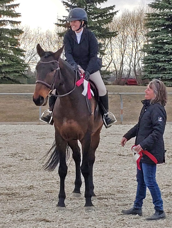 north country equestrian blog, popular horse blog, cost saving horse ownership, budgeting horses, abby stilwell blog