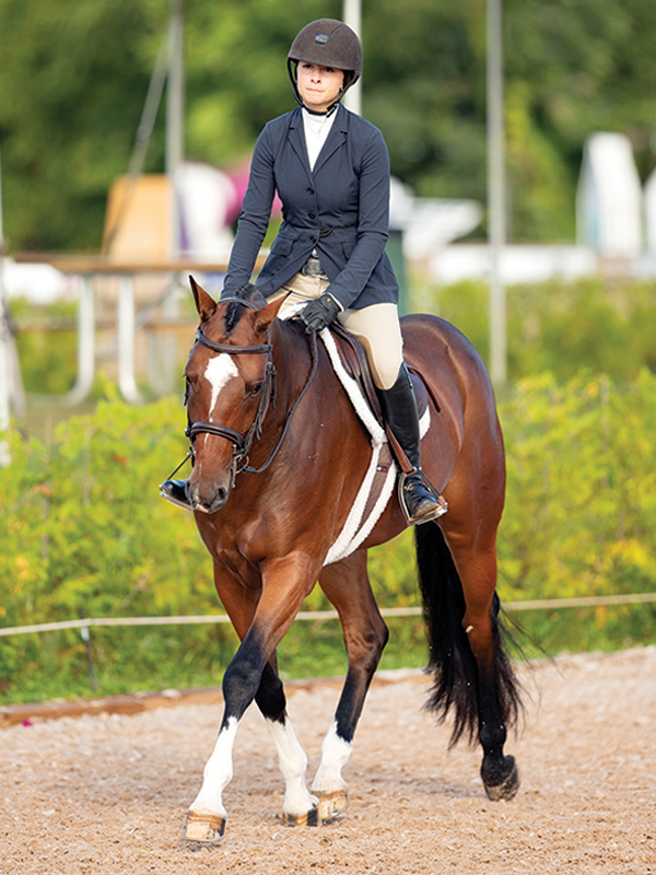 lindsay grice, flat class, how to judge a flat class, how to judge rail class, rules of a flat class, how to prepare flat class, lindsay grice