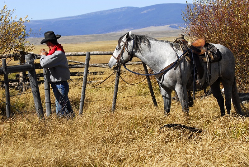 history of cowboys, cowboy qualities, modern-day cowboys, 21st Century Cowboy, cowboy history, cowboy traditions, cowboy clothing