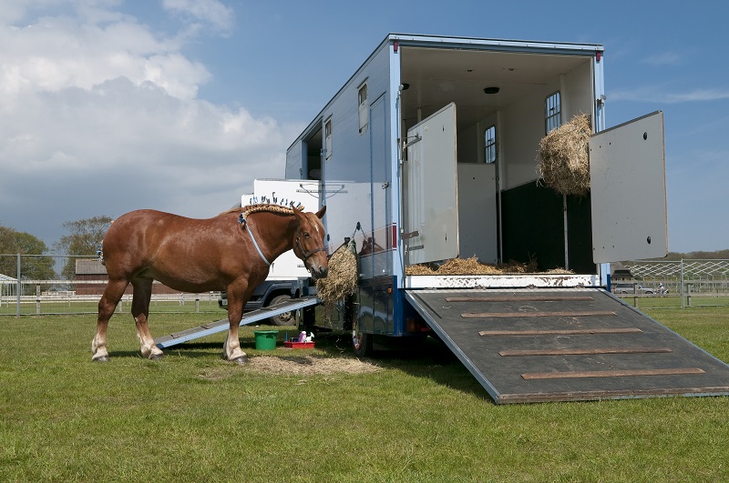 Inside Your Horse Trailer, horse to transport my horse safely, what type of horse trailer should i buy, best horse trailers, shipping fever, pleuropneumonia, kevan garecki Inside Your Horse Trailer, horse to transport my horse safely, what type of horse trailer should i buy, best horse trailers, shipping fever, pleuropneumonia, kevan garecki