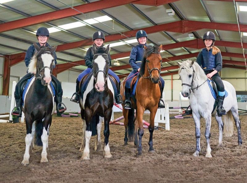 running a horse barn, owning a horse farm, boarding horses, how to board horses, renting riding ring