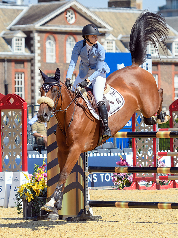 tani zeidler horse farm zeidler breeding horses, zf bloodlines, julia tops show jumping
