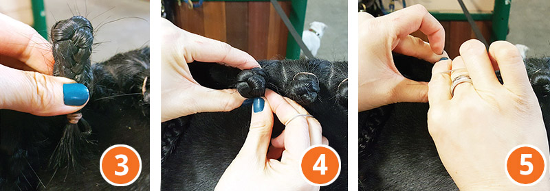 how to braid horse for hunter, how to braid horse for jumper, how to braid horse for dressage