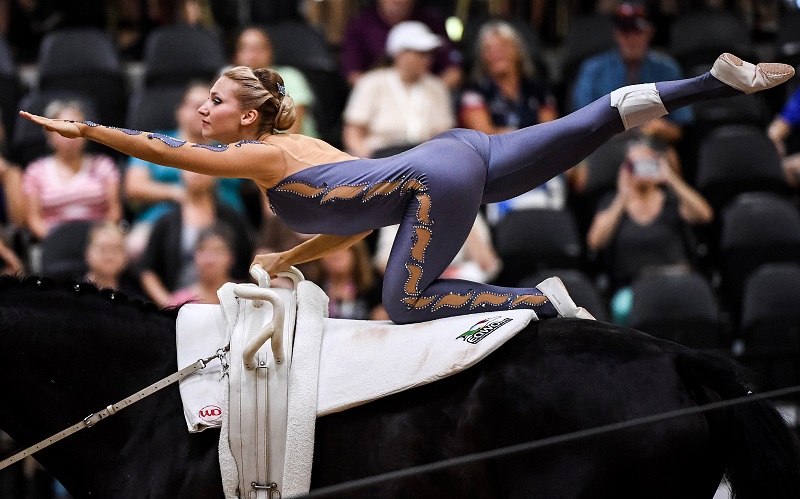 Jumping, Vaulting, and Para-Dressage at Tryon 2018 FEI World Equestrian Games (WEG) Box Qutie Anna Freskgård Tryon Equine Hospital show jumping world equestrian games vaulting weg para-dressage, grooms at world equestrian games Jumping, Vaulting, and Para-Dressage at Tryon 2018 FEI World Equestrian Games (WEG) Box Qutie Anna Freskgård Tryon Equine Hospital show jumping world equestrian games vaulting weg para-dressage, grooms at world equestrian games
