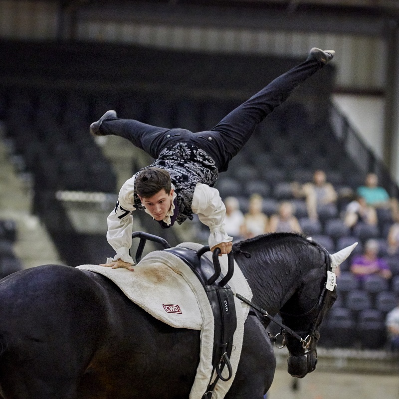 tryon world equestrian games 2018 Para-Dressage web Vaulting world equestrian games Jumping web Driving World Equestrian Games tryon equestrian centre, lauren barwick, sophie wells, Stinna Tange Kaastrup, kristina boe, lambert leclezio, simone blum, steve guerdat, boyd excel, chester weber tryon world equestrian games 2018 Para-Dressage web Vaulting world equestrian games Jumping web Driving World Equestrian Games tryon equestrian centre, lauren barwick, sophie wells, Stinna Tange Kaastrup, kristina boe, lambert leclezio, simone blum, steve guerdat, boyd excel, chester weber