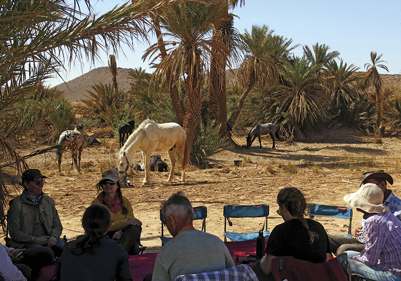 vacationing with horses, holidaying with horses, horse riding abroad, local horse riding, horse riding adventure, morocco sahara horses, tania millen