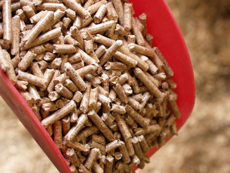 type of horse bedding, stall bedding, wood shavings horse barn, straw bedding equine, peat moss horse bedding