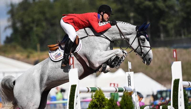Jumping, Vaulting, and Para-Dressage at Tryon 2018 FEI World Equestrian Games (WEG) Box Qutie Anna Freskgård Tryon Equine Hospital show jumping world equestrian games vaulting weg para-dressage, grooms at world equestrian games Jumping, Vaulting, and Para-Dressage at Tryon 2018 FEI World Equestrian Games (WEG) Box Qutie Anna Freskgård Tryon Equine Hospital show jumping world equestrian games vaulting weg para-dressage, grooms at world equestrian games