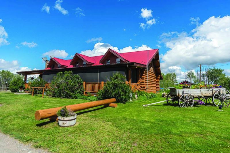 horse riding holidays canada, vacationing with horses, shawn hamilton, anchor d guiding, bar w guest ranch, brewster adventures, flying u ranch, alberta horse riding, ontario holiday riding