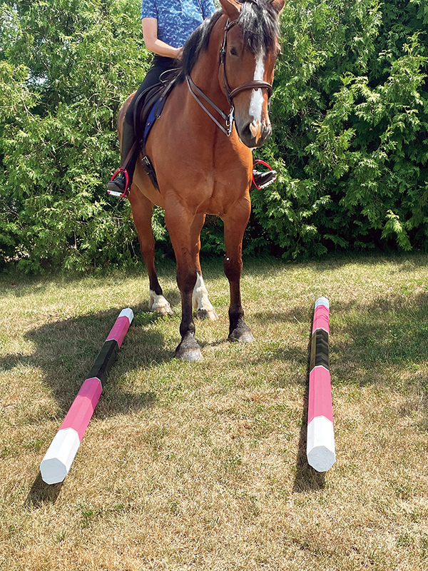 misaligned horse, horse out of alignment, rein-back horse, leg yielding horse, horse seems stuck, Sidepassing a horse, horse crossing legs, horse soft contact, lindsay grice horse training, backing obstacles with horses, sidepass obstacles with horses