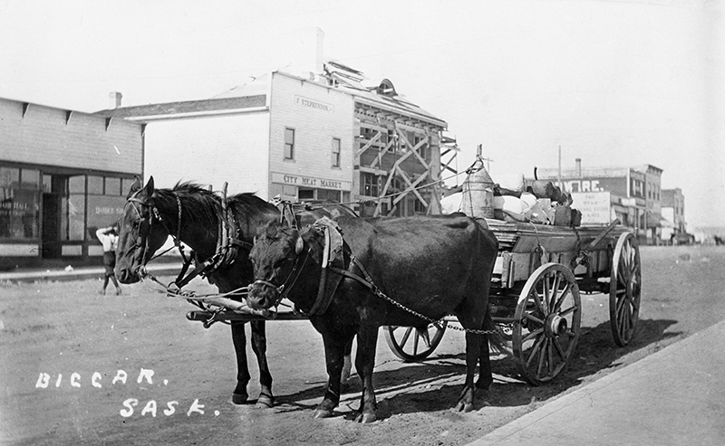 history of horses in canada, canadian horse history, Sir Donald Smith, Edward Mallandaine, canadian equine history history of horses in canada, canadian horse history, Sir Donald Smith, Edward Mallandaine, canadian equine history